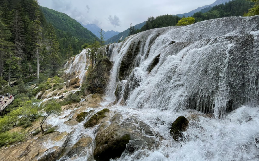 1656489911555628.png 8677a0556765fbee1cb96b678959b38.png